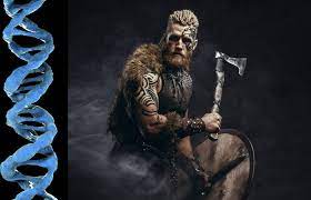 Comment Déterminer Si Vous Avez des Origines Vikings dans Votre ADN